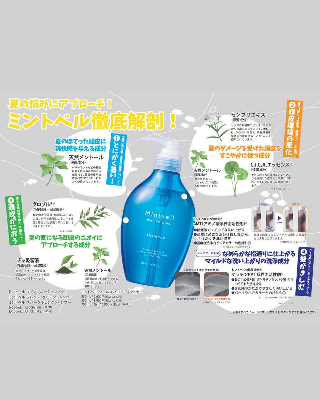 【ミントベル2026ver.】フレッシュグリーンシャンプー250ml