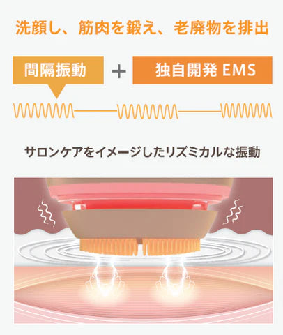 ゾーガンキン オーヴォ
