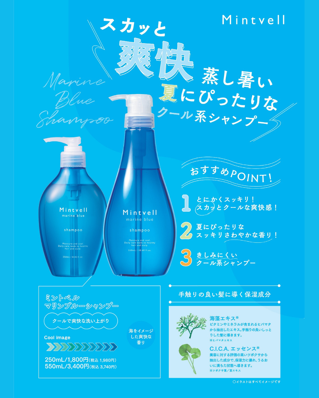 【ミントベル2026ver.】　マリンブルーシャンプー250ml