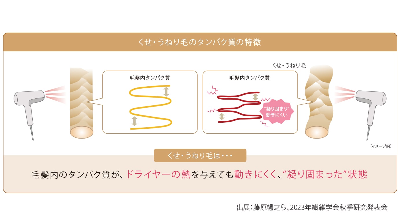 エルジューダ　フリッズフィクサーエマルジョン＋　120ml