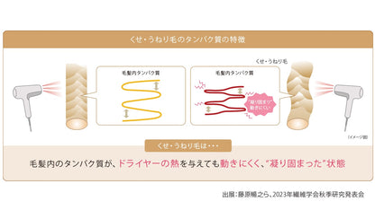 エルジューダ　フリッズフィクサーエマルジョン＋　120ml