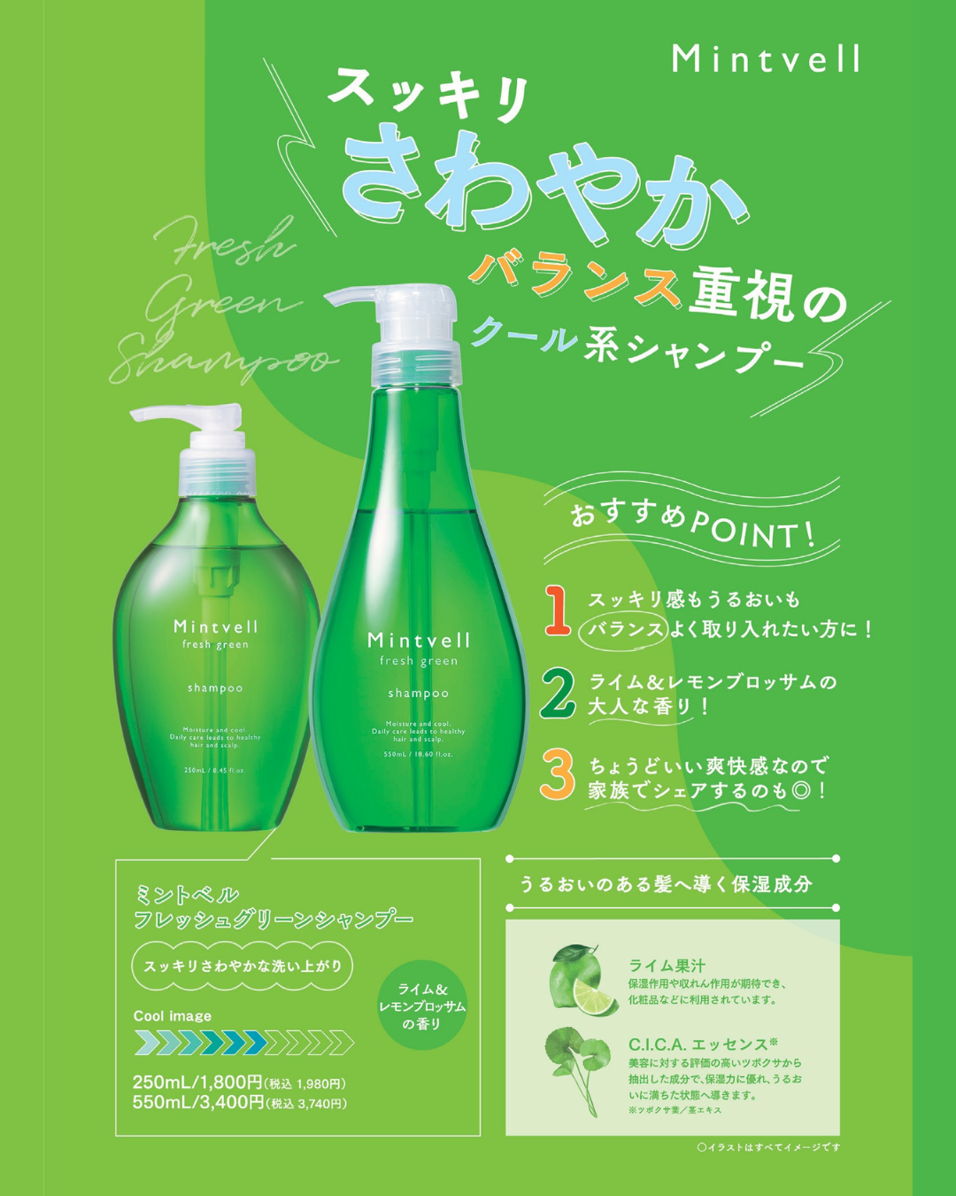 【ミントベル2026ver.】フレッシュグリーンシャンプー250ml
