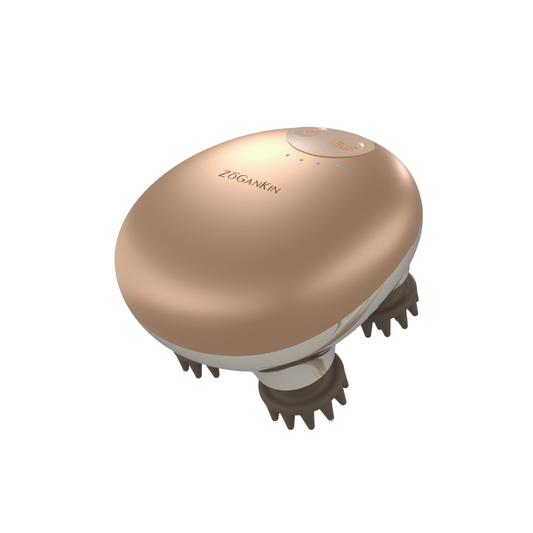 ゾーガンキンスカルプ